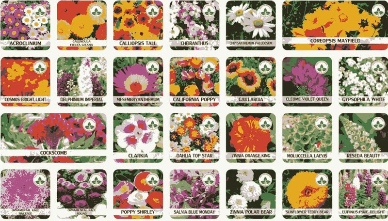 Varieties of Flower Seeds (Pack of 50)