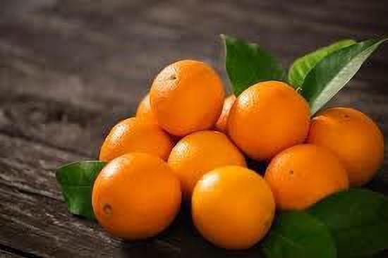 Seeds Hybrid Sweet Orange Plant